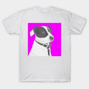 Jack Russell Crossbreed in Pink Headshot T-Shirt